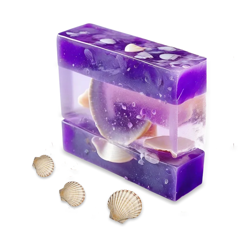 Ракушка